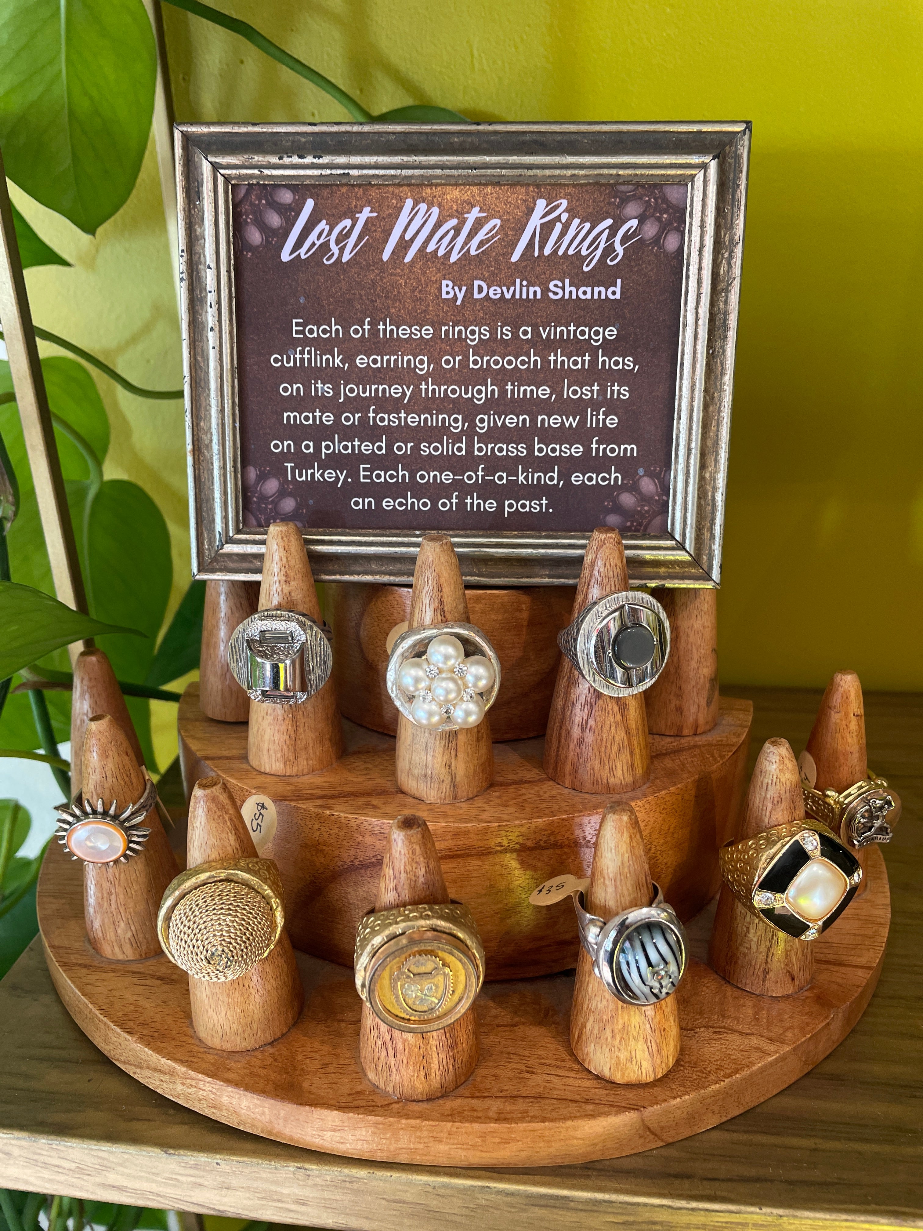 Devlin Shand - Lost Mate Rings