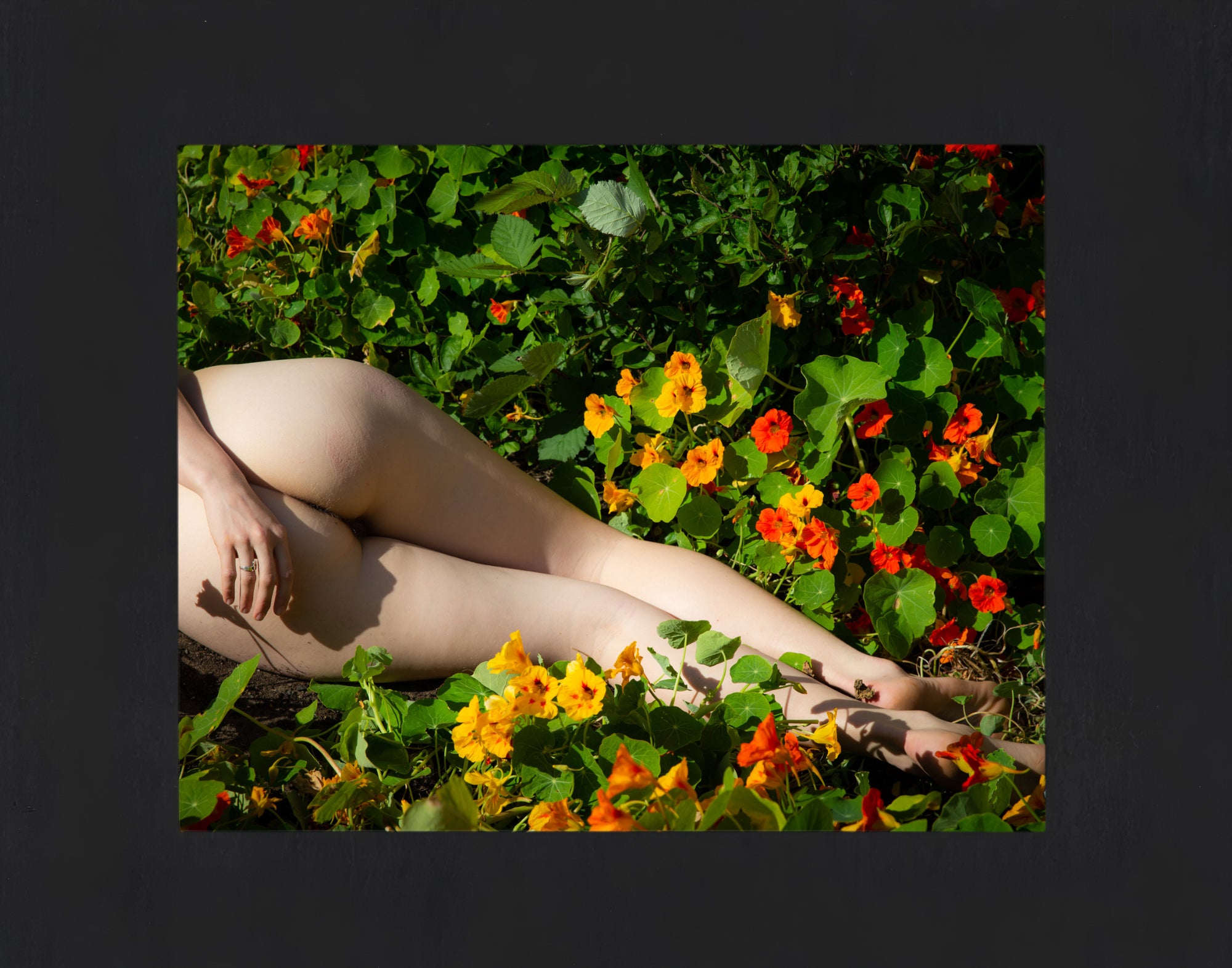 Devlin Shand Photography - Matted Signed Prints