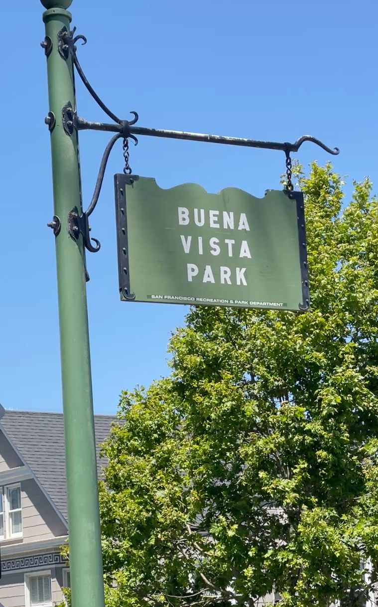 EN ABSENTIA - Lisa Niedermeyer - Roots of Buena Vista Park