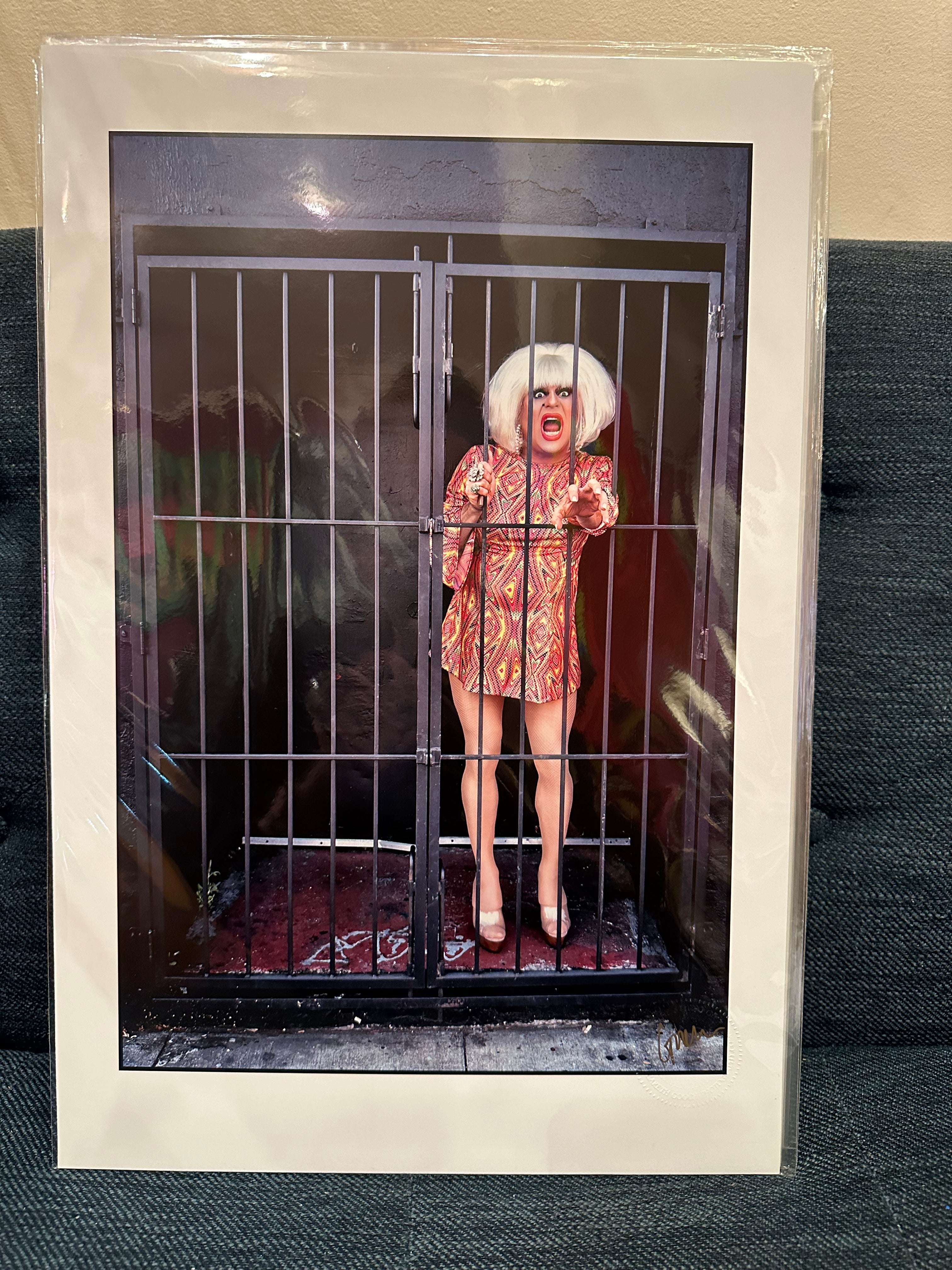 Gareth Gooch -Photo Prints 18x12