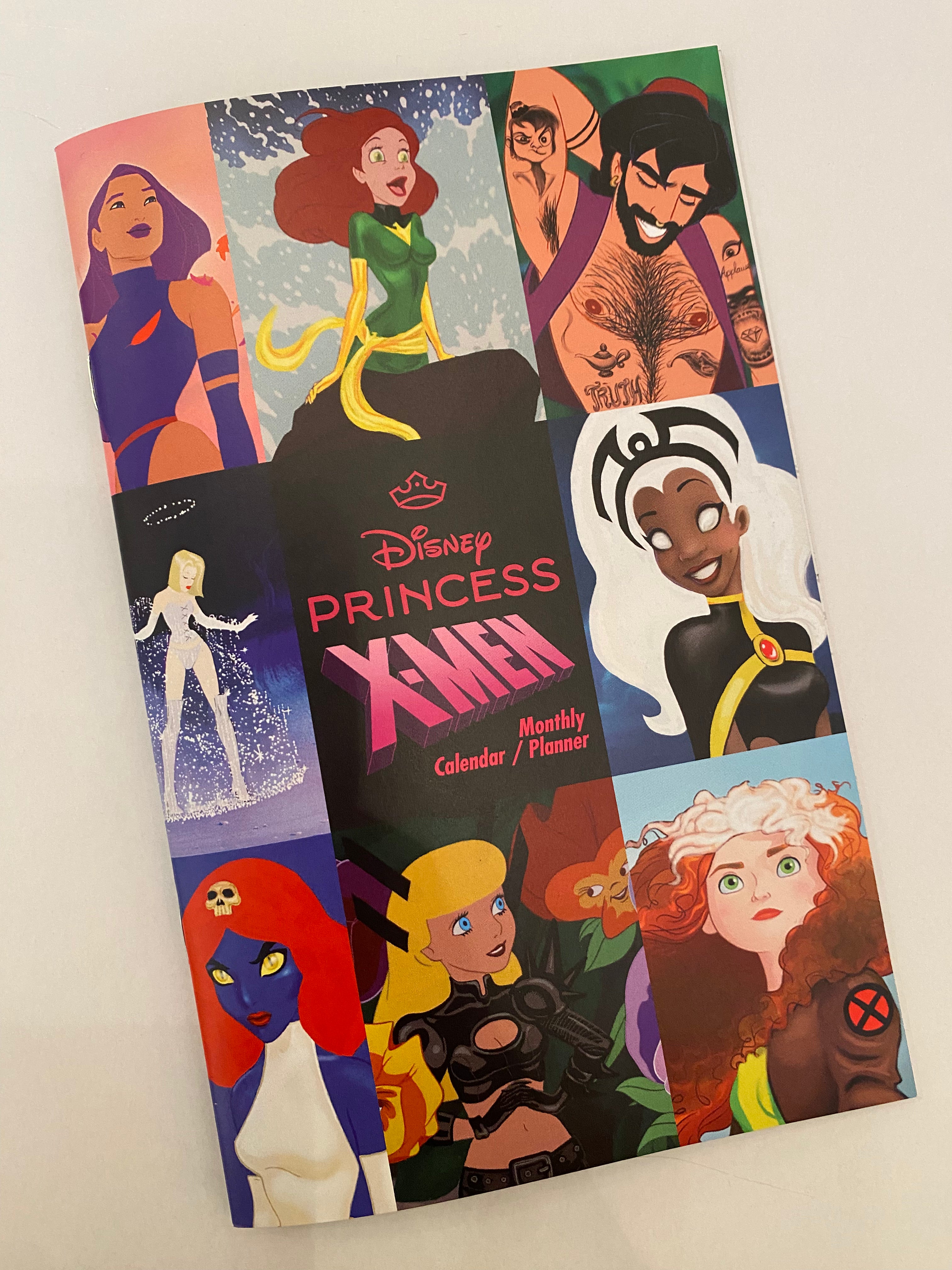 Design Nurd - Disney Xmen Princesses Calendar/Planner