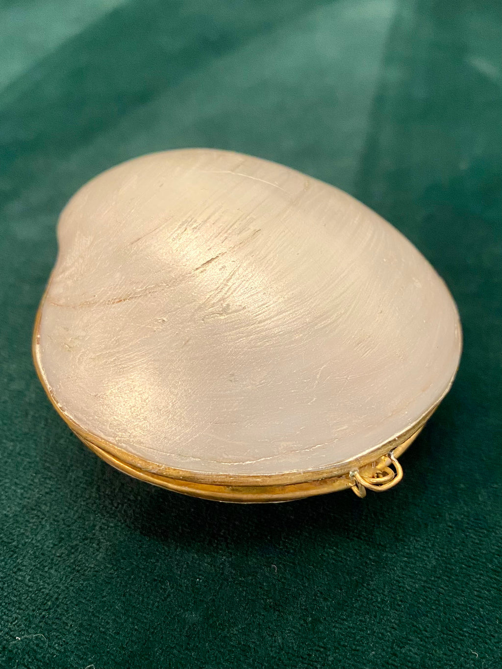 Oscar Graves - pearldazzled clamshell with eyeball