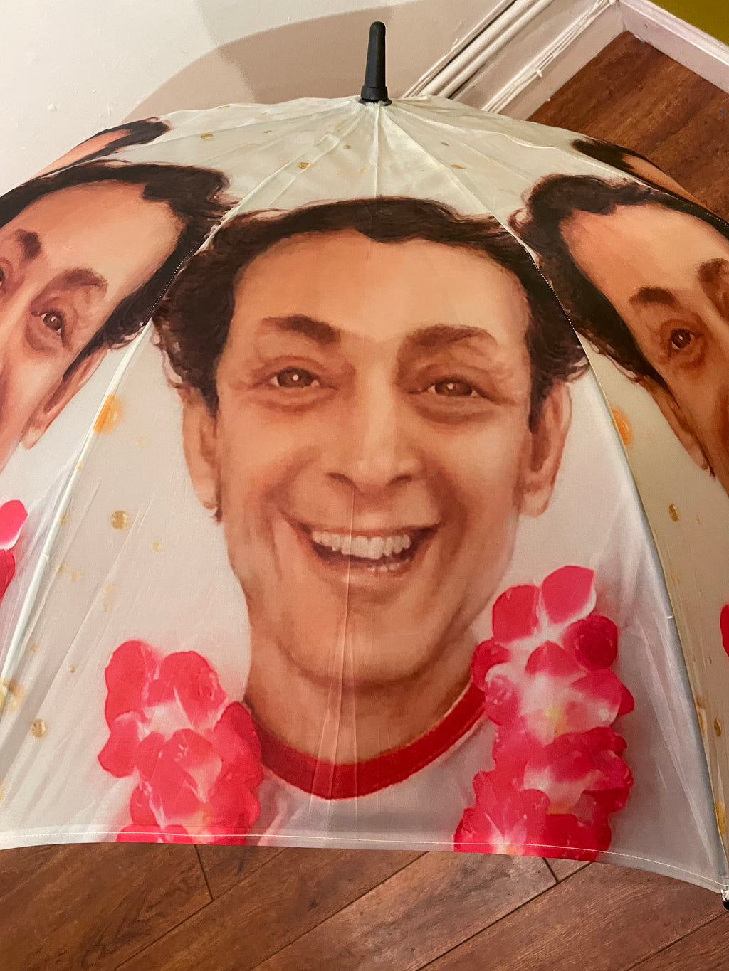 Deirdre DeFranceaux - Harvey Milk sun umbrella