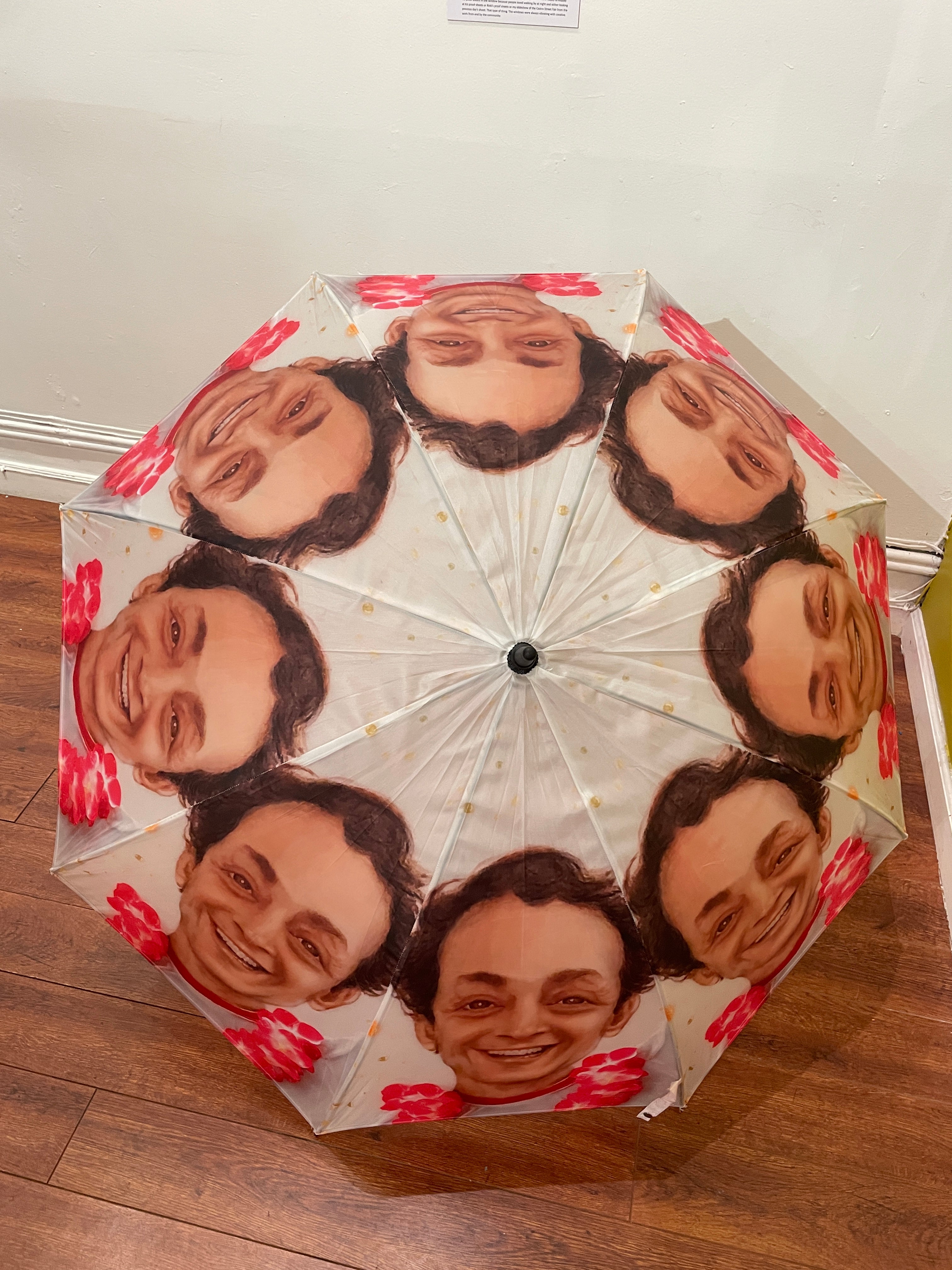 Deirdre DeFranceaux - Harvey Milk sun umbrella