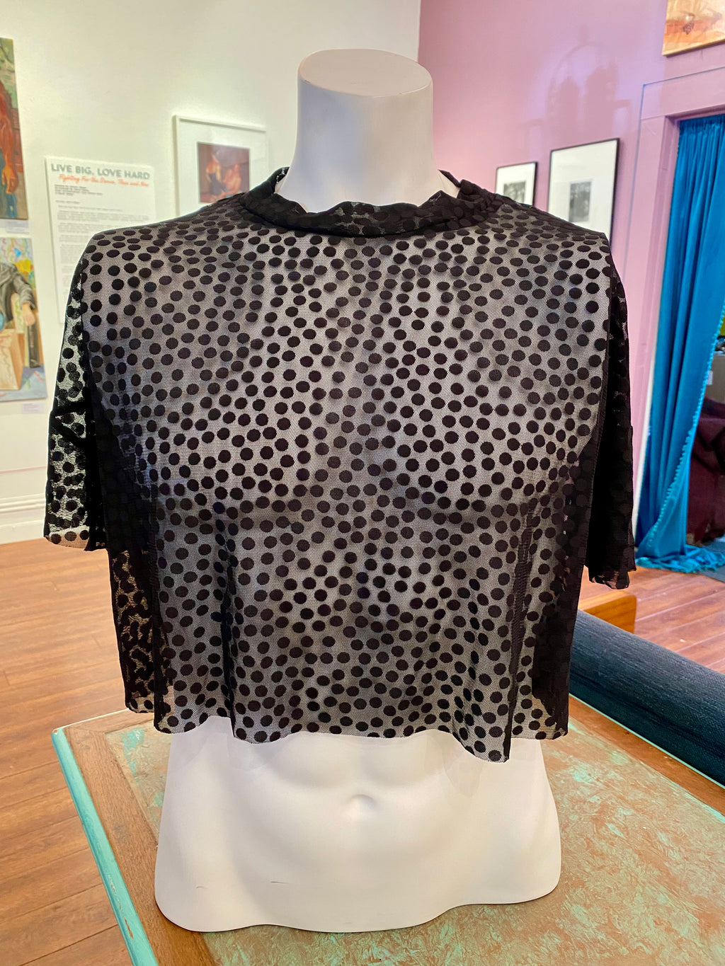 Jordan Joel - polka dot sheer crop top