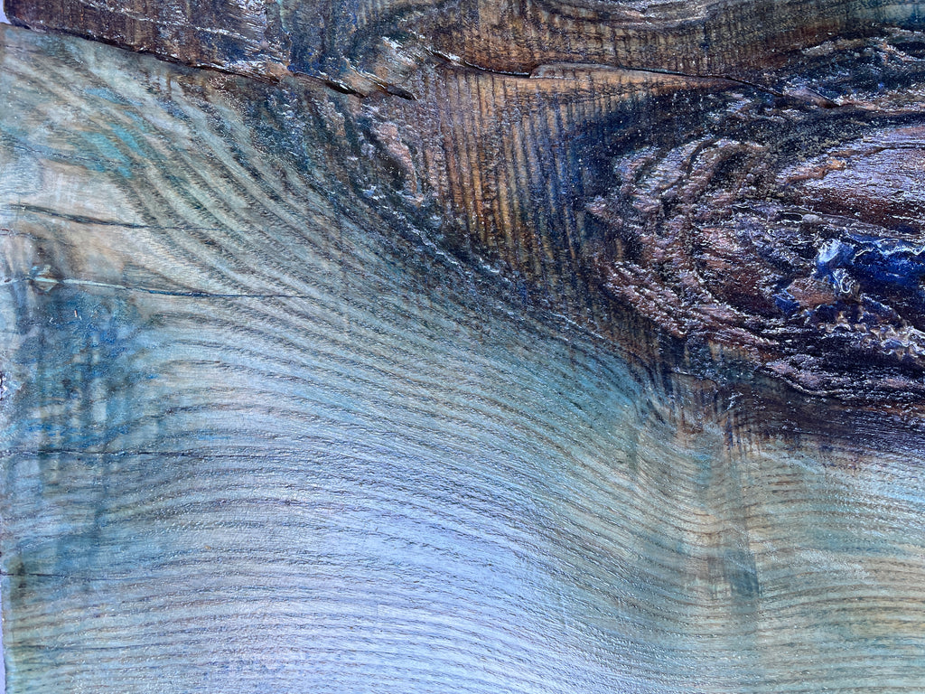 EN ABSENTIA - Lisa Niedermeyer - Tree Table