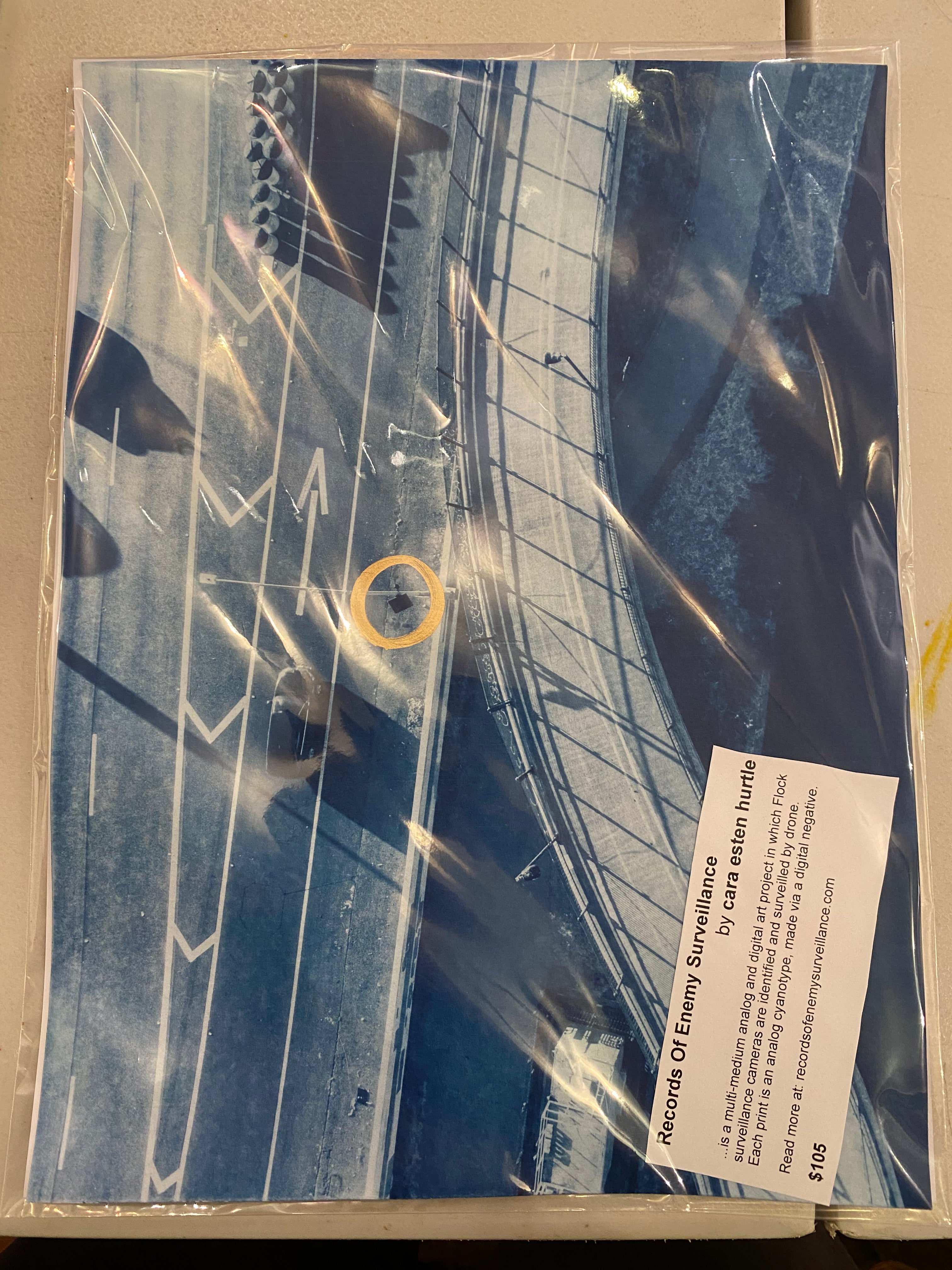 UNSUPERVISED - Cara Hurtle - Records of Enemy Surveillance cyanotype print