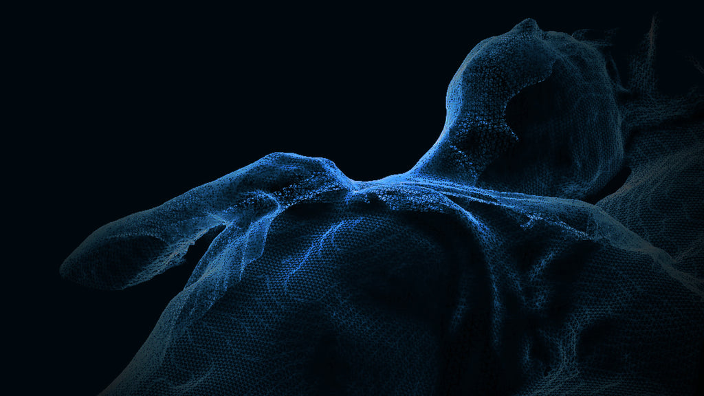 Volumetric Portrait: Light Chest