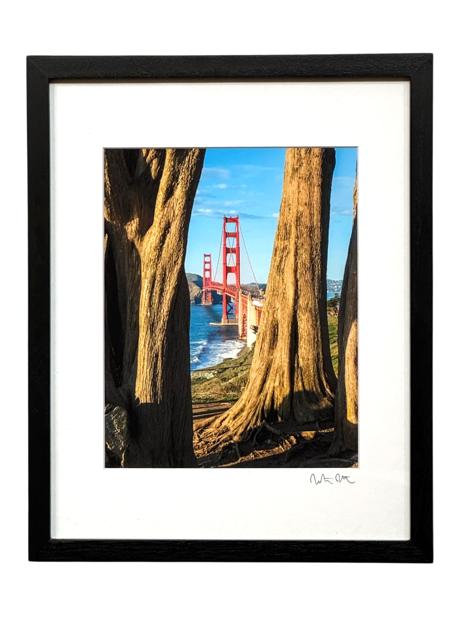 Matthew Matasci - Golden Gate