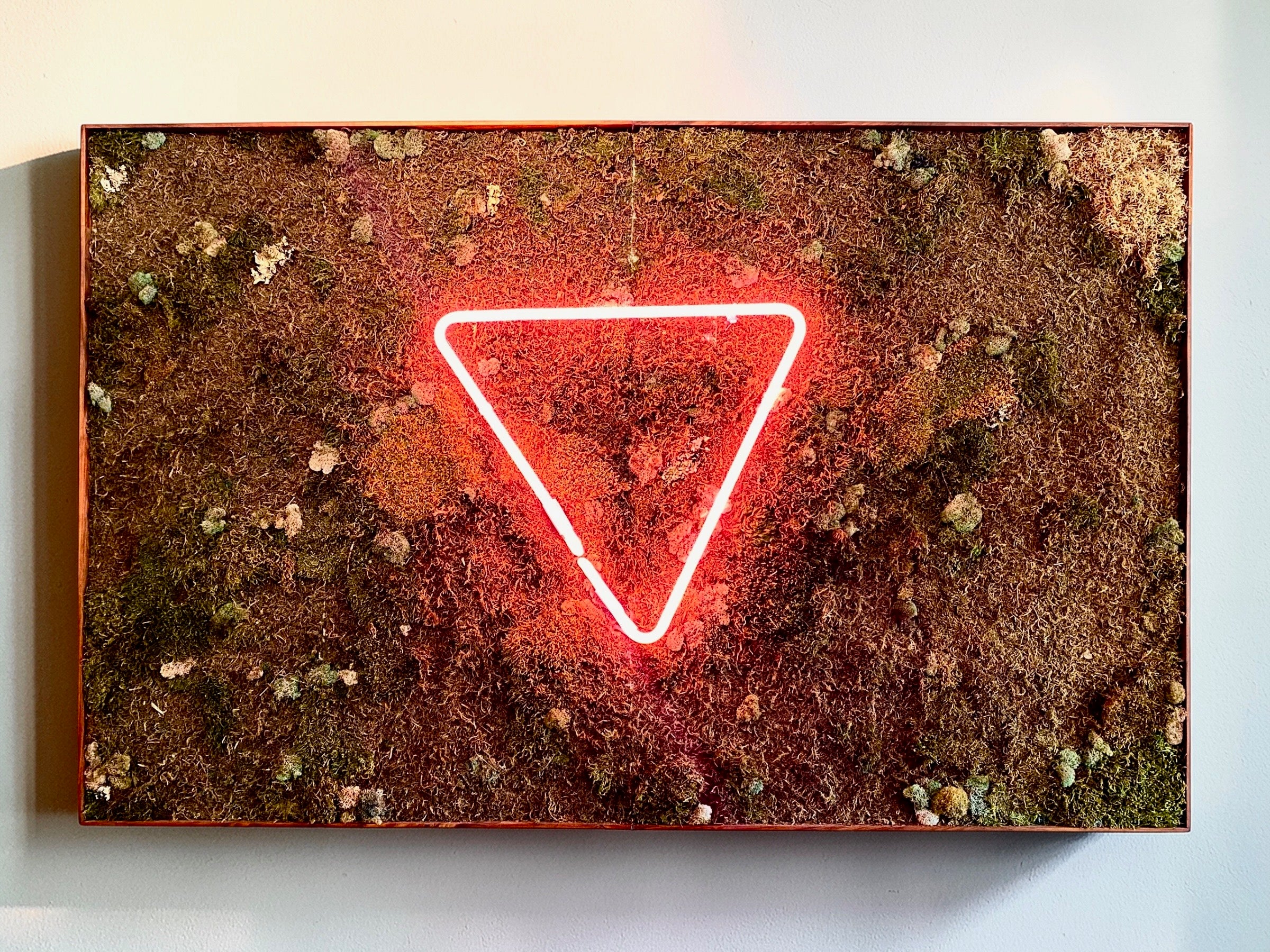 Alice Harrison - Calla neon