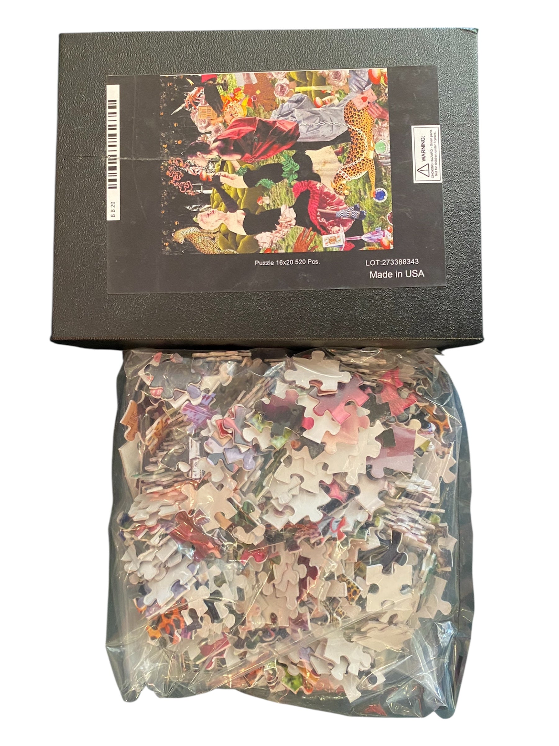 Jesse Jae - jigsaw puzzle