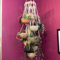 Thank You Ceramics - Earth Body Chandelier